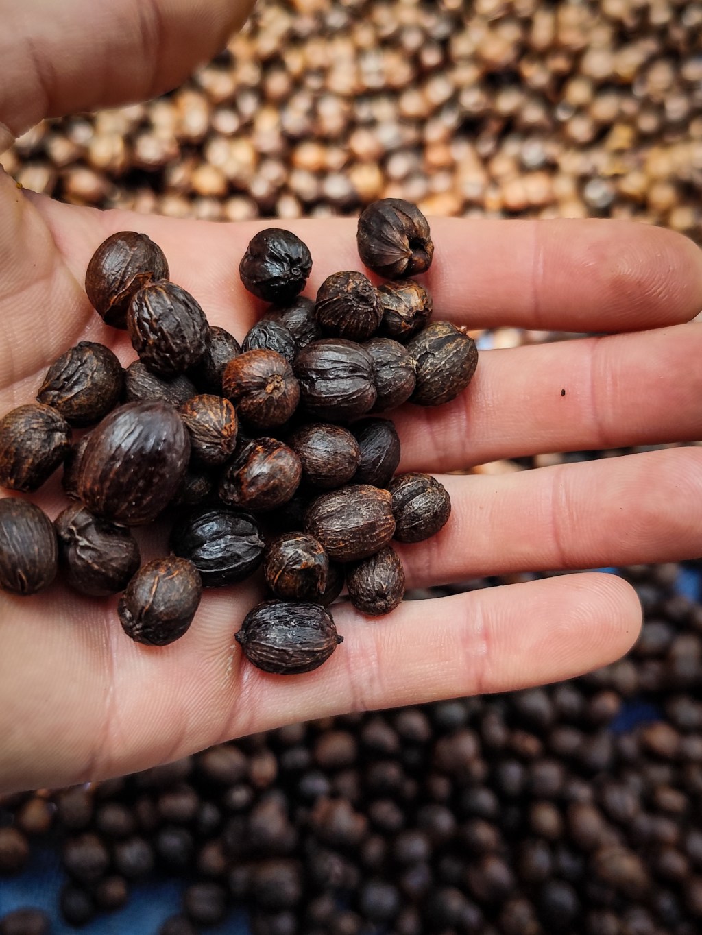 UN CAFFÈ CON GHIACCIO PER&nbsp;FAVORE☕